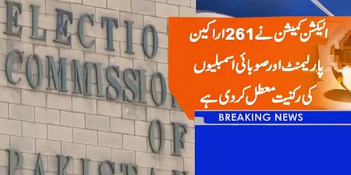 ECP Suspended Membership of 261 Senetors, MNAs and MPAs - Complete List