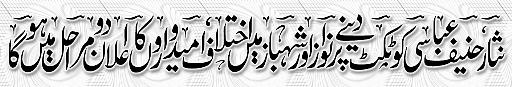 PMLN Finalized Tickets for MNA and MPA Seats of Punjab