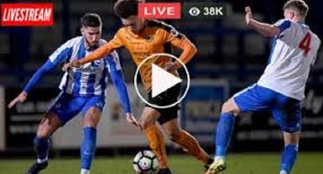 Wolves Vs Brighton Live Streaming – WOL Vs BHA English Premier League (Saturday, 20th April 2019)