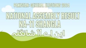 Result NA 11 Shangla, Vote Counting, Winner 2024